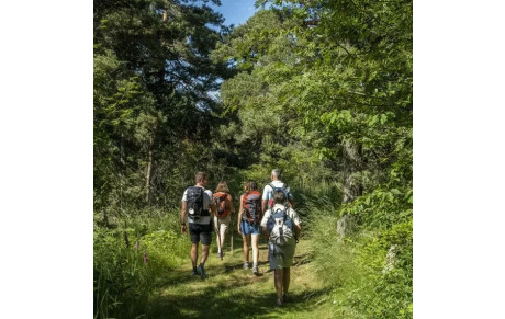 Randonnée Pédestre